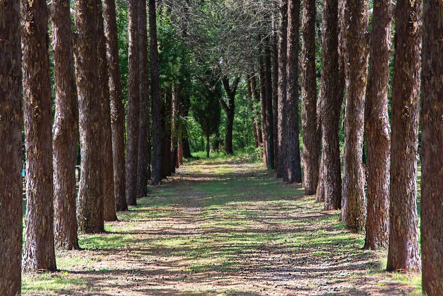 Agriturismo Villa Alari เชโตนา ภายนอก รูปภาพ