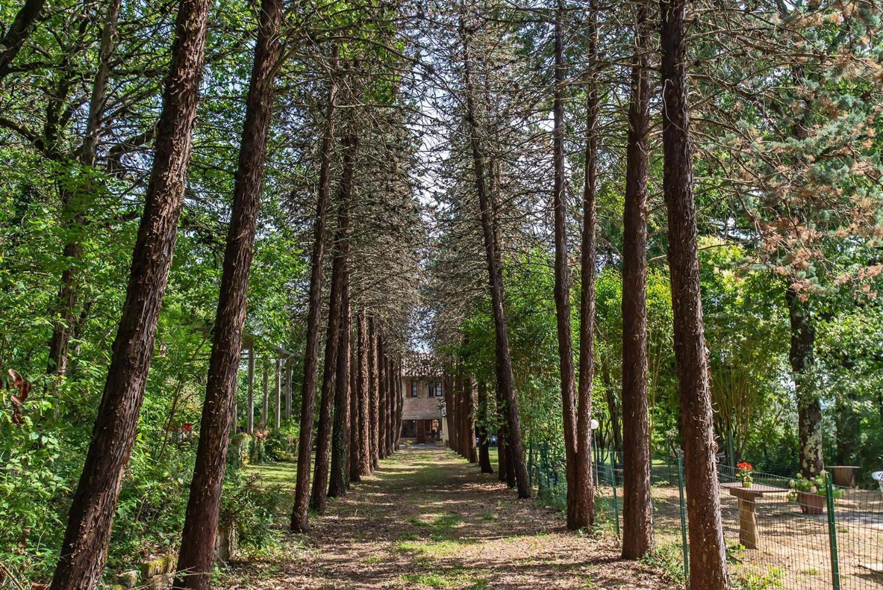 Agriturismo Villa Alari เชโตนา ภายนอก รูปภาพ