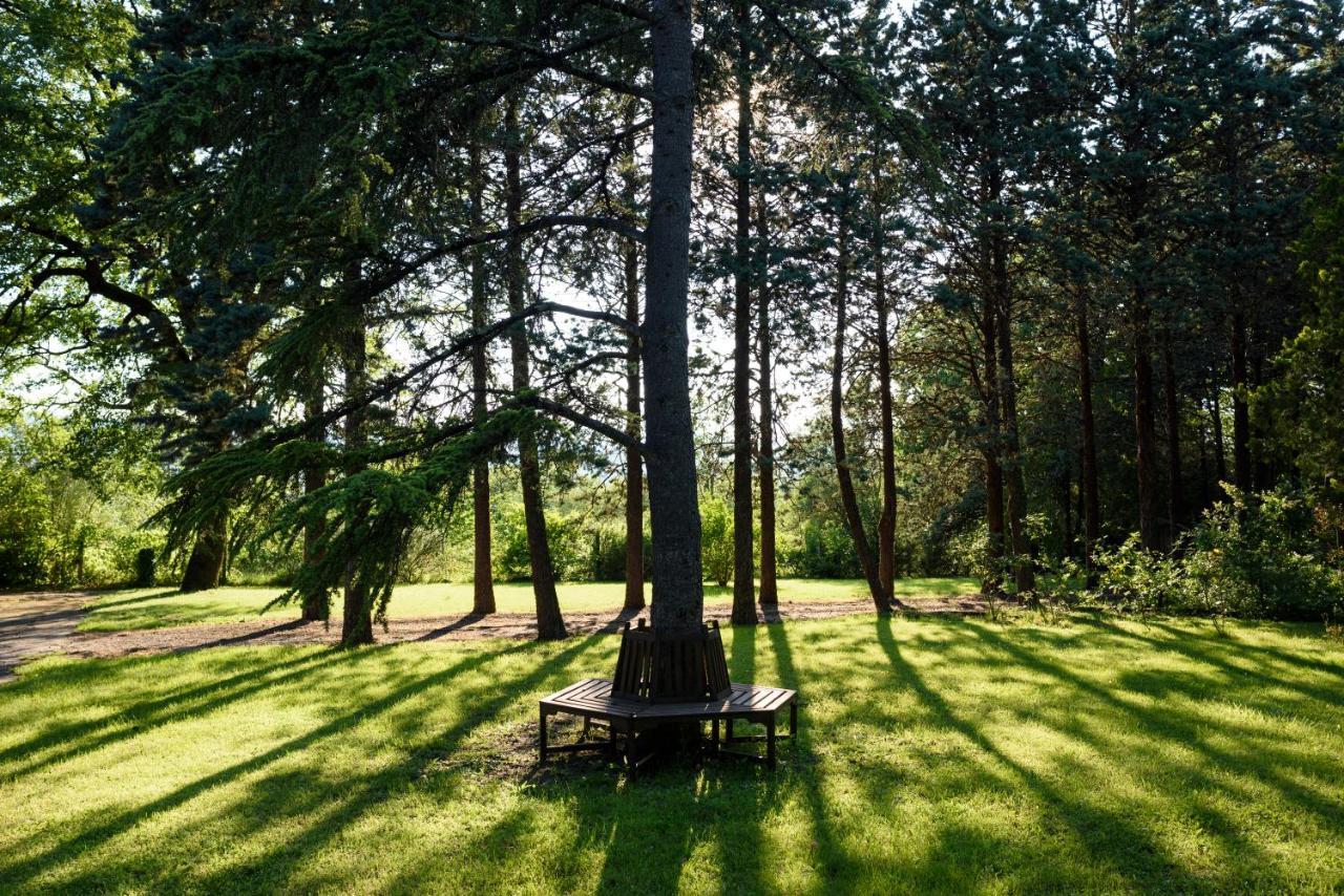 Agriturismo Villa Alari เชโตนา ภายนอก รูปภาพ